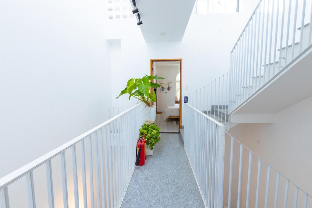 Nest House Homestay