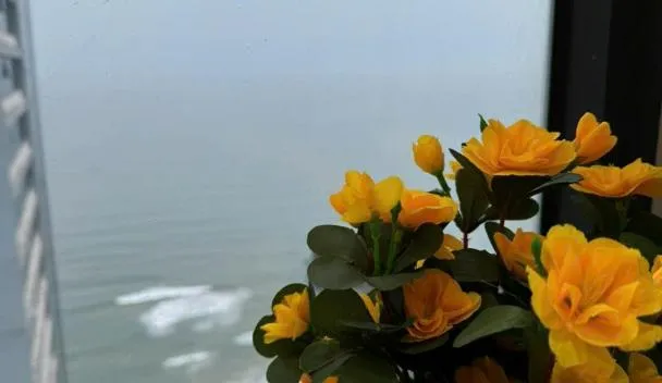 Muong Thanh Beach partment, Da Nang