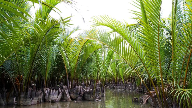 Tour Đà Nẵng 1 Ngày: NGŨ HÀNH SƠN – RỪNG DỪA BẢY MẪU – PHỐ CỔ HỘI AN 2