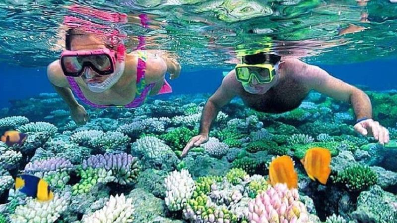 Tour Đà Nẵng 1 Ngày: KHÁM PHÁ ĐẢO XANH CÙ LAO CHÀM 3