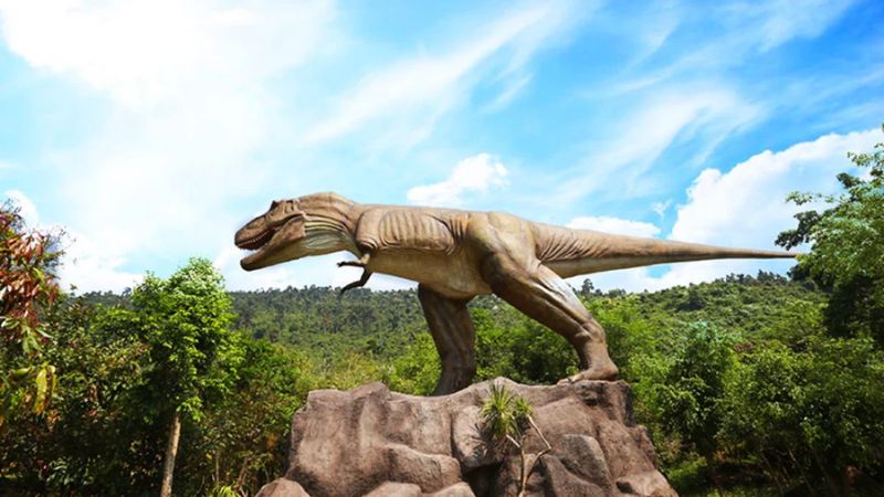 Tour 1 Ngày Đà Nẵng: NGHỈ DƯỠNG SUỐI KHOÁNG NÓNG NÚI THẦN TÀI 4