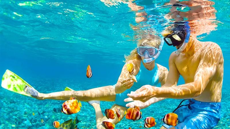 Tour Đà Nẵng 1 Ngày: Lặn Ngắm San Hô Bãi Nam Sơn Trà 3