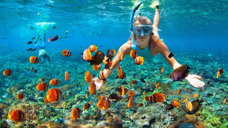 Tour Đà Nẵng 1 Ngày: Lặn Ngắm San Hô Bãi Nam Sơn Trà 2